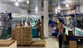 Production Equipment-Kitchenware stainless steel accessories_Stainless steel cookware accessories_High-speed rail accessories_Precision casting accessories-JIANGMEN DEYIBAO STAINLESS STEEL PRODUCTS CO.LTD-超声波清洗线